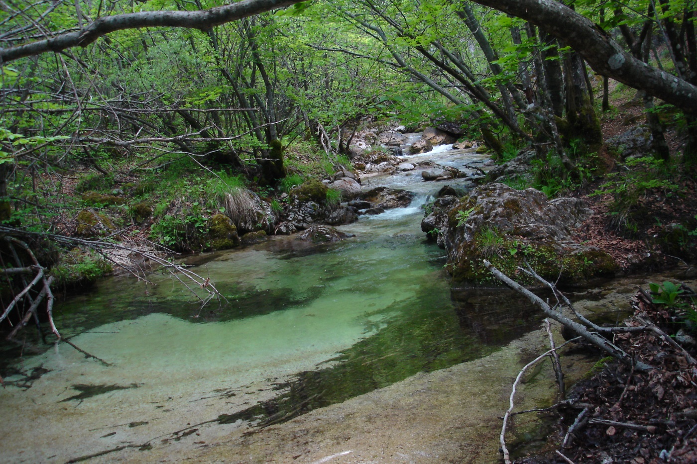 Riserva nel Parco Nazionale d'Abruzzo